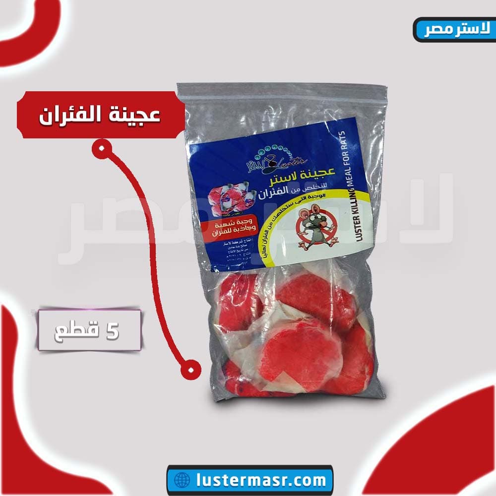 صورة المنتج — فئران