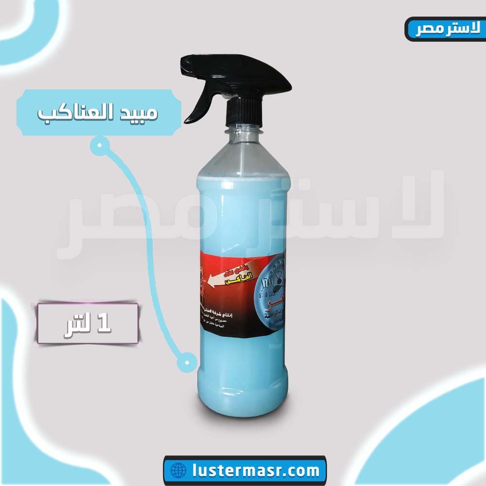 صورة المنتج — العناكب